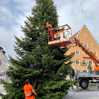 Schwandorfer Weihnachtsbaum 2022