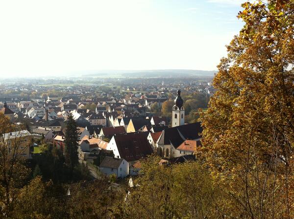 Bild vergrößern: Ein Blick vom Schwandorfer Schwammerling nach unten über die Dächer von Schwandorf.