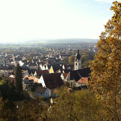 Bild vergrößern: Ein Blick vom Schwandorfer Schwammerling nach unten über die Dächer von Schwandorf.