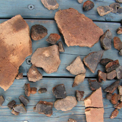 Bild vergrößern: Keramikfragmente der Grabung  im Eglseegebiet im Jahr 2007.