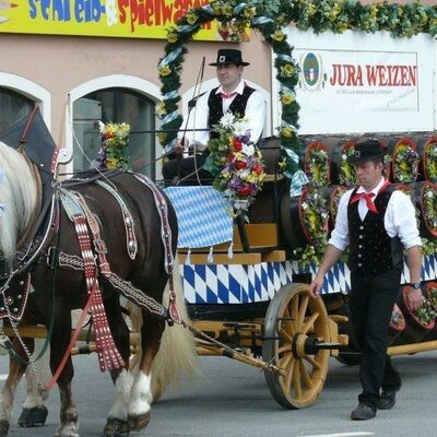 Bild vergrößern: Zei prachtvoll geschmückte Pferde ziehen den Wagen einer Brauerei, der auch geschmückt ist.