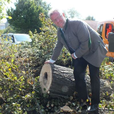 Bild vergrößern: Oberbürgermeister Andreas Feller zeigt ein Hornissennest in einem Baumstumpf.