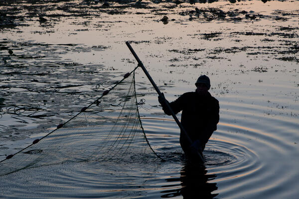 Ein einsamer Angler wirft sein Netz im See aus.