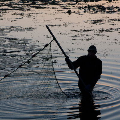 Bild vergrößern: Ein einsamer Angler wirft sein Netz im See aus.