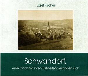 Bild vergrößern: Ausstellung im Rathaus "Schwandorf - eine Stadt mit ihren Ortsteilen verändert sich"