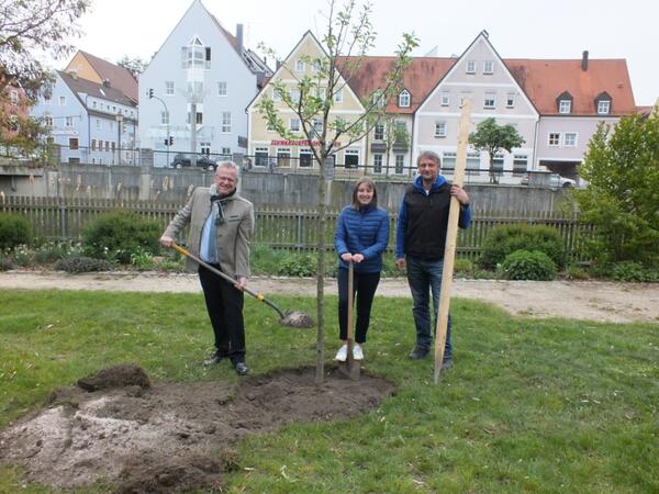 Vandalismus im Stadtpark 04_2019