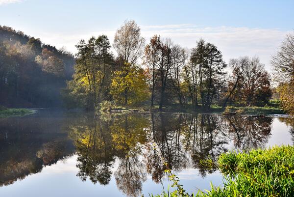 Bild vergrößern: Impressionen im Herbst an der Naab in Krondorf.