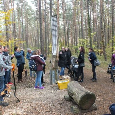 Bild vergrößern: Baumpflanzaktion Oktober 2019_01