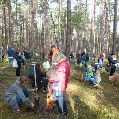 Bild vergrößern: Baumpflanzaktion Oktober 2019_02