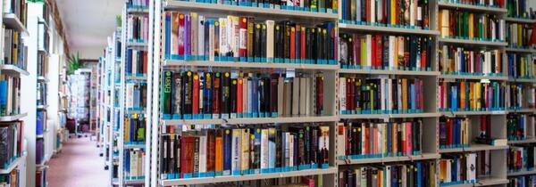 B&uuml;cher im B&uuml;cherregal