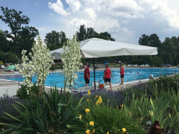 Freibad Schwandorf 2020