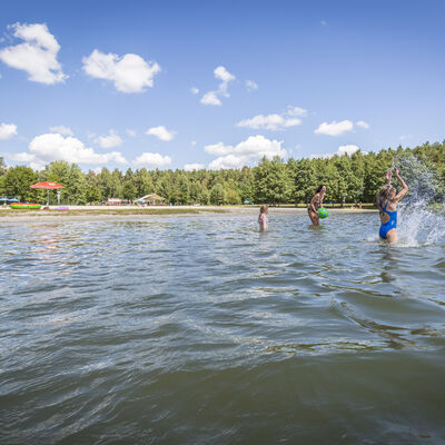 Bild vergrößern: Spiel im Wasser