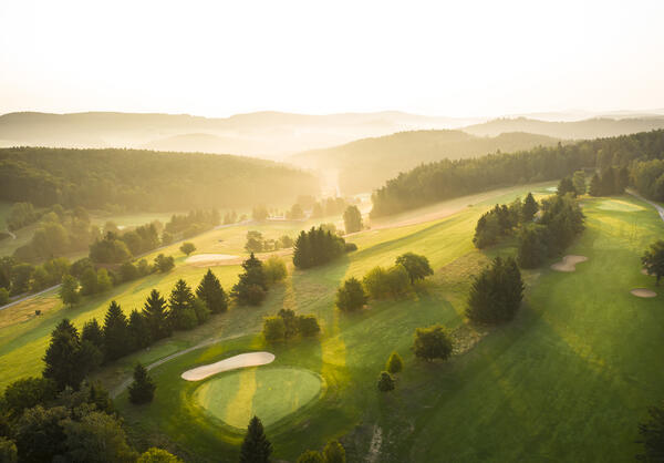 Bild vergrößern: Die Sonne geht über den Bäumen langsam auf - Morgenstimmung.