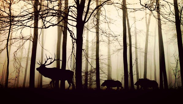 Nebulser Wald mit Waldtieren.