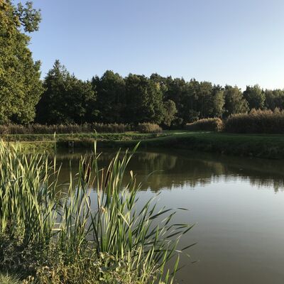 Der Prissather Weiher im Ortsteil Fronberg in Schwandorf.