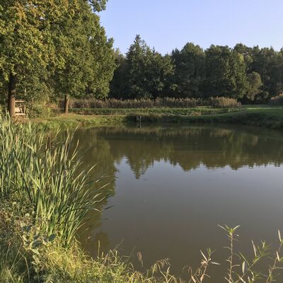 Bild vergrößern: Ein Fischteich in Prissath bei Fronberg in Schwandorf.