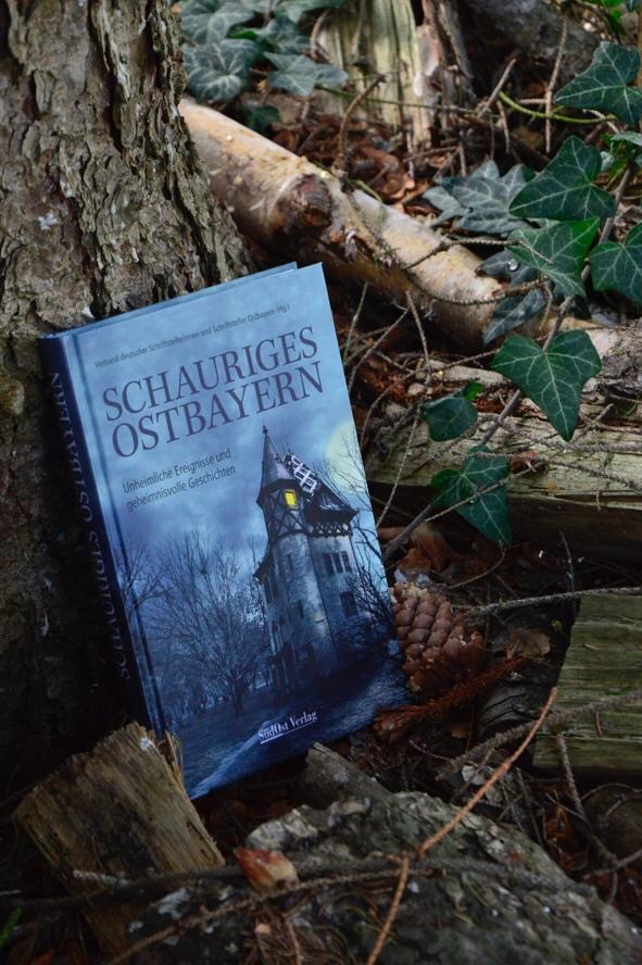 Bild vergrößern: Buchcover "Schauriges Ostbayern"
Ein blaues Buch mit einem Schloss.