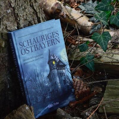 Buchcover "Schauriges Ostbayern"
Ein blaues Buch mit einem Schloss.