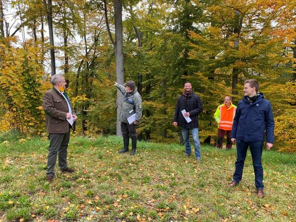 Bild vergrößern: Fünf Personen informieren sich über die notwendigen Baumfällarbeiten an der Fronberger Straße.