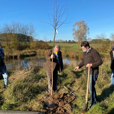 Bild vergrößern: (von links) GOV-Vorsitzender Franz Schloderer, Oberbürgermeister Andreas Feller und Mathias Bäuml (2. von rechts) vom GOV Richt und Umgebung setzen den ersten Baum bei der Pflanzaktion in Kreith.