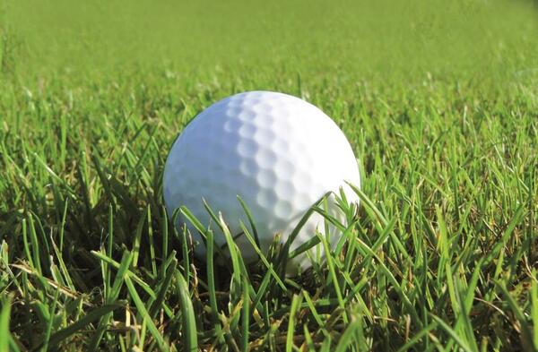 Bild vergrößern: Ein einsamer Golfball liegt im grnen Gras.