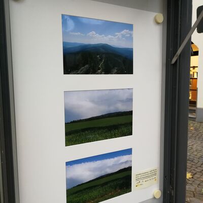Bild vergrößern: Offener Schaukasten mit detaillierter Aufnahme der 3 gerahmten Bilder. Landschaftsaufnahmen mit weiter Ferne.
