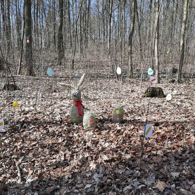 Bild vergrößern: Ein Stück Wald mit verzierten Sträuchern und Bäumen und Stroh-Osterhasen als Dekoration.