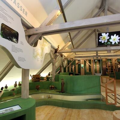 Bild vergrößern: Foto des Naturinfozentrums des Stadtmuseums