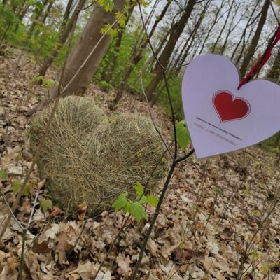 Bild vergrößern: Kindergartenkinder schmücken den Kreuzbergring