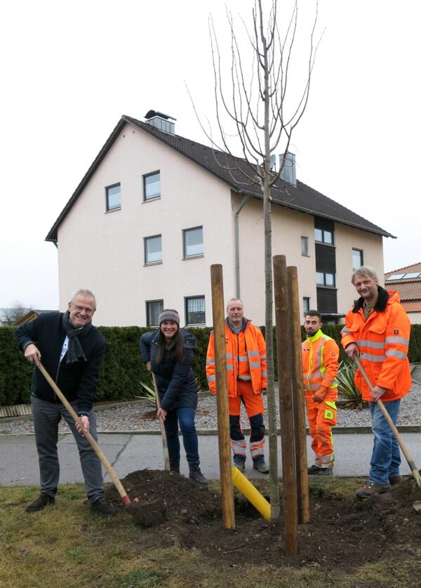 Bild vergrößern: Baumpflanzaktion in Schwandorf 2021