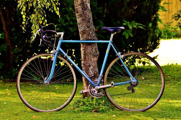 Blaues Fahrrad lehnt am Baum