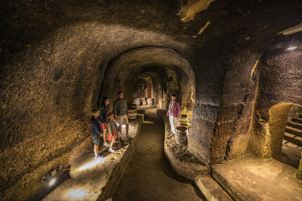 Bild vergrößern: Auf der rechten Seite steht die Gästeführerin und erklärt der Gruppe das Labyrinth im Felsenkeller. Sie trägt eine lila Jacke. Gegenüber steht eine kleine Gruppe und hört aufmerksam zu.