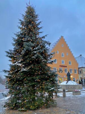 Bild vergrößern: Das Bild zeigt einen Weihnachtsbaum auf einem großen Platz. Der Baum ist mit einer Lichterkette geschmückt.