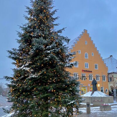 Das Bild zeigt einen Weihnachtsbaum auf einem großen Platz. Der Baum ist mit einer Lichterkette geschmückt.