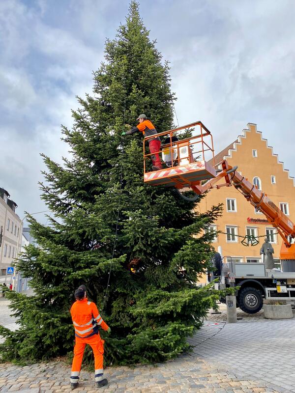 Bild vergrößern: Schwandorfer Weihnachtsbaum 2022