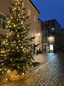 Bild vergrößern: Tourismusbüro mit Weihnachtsbaum Eingang