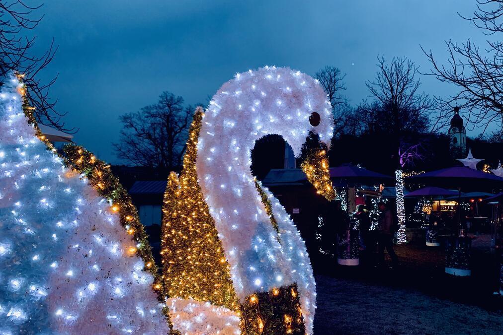 Ein beleuchteter Schwan als Symbol fr Schwandorf