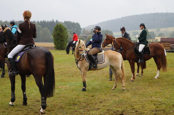 4 Reiter sitzen nebeneinander auf dem eigenen Pferd