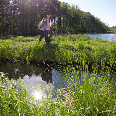 Bild vergrößern: Im grnen Gras wandern eine Frau und ein Mann durch das Charlottenhofer Weihergebiet.