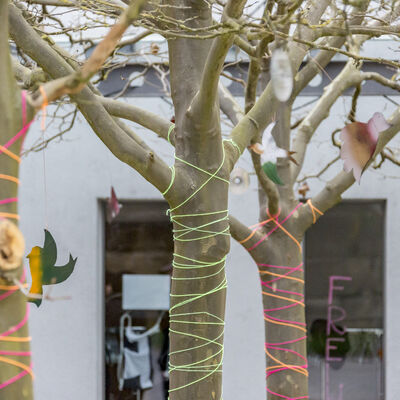 Drei Bäume sind mit bunten Wollfäden umwickelt. An den Bäumen hängen CDs und bunte Vögel.