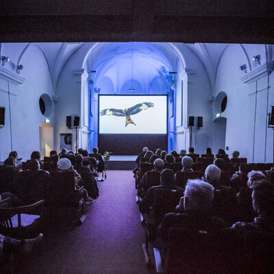 Kinopublikum sitzt vor der Leinwand in der Spitalkirche. Darauf ist gerade ein Vogel im Flug zu sehen.