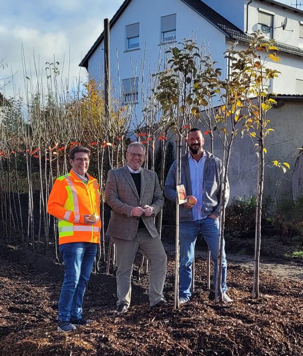 Bild vergrößern: Obstbume im Bauhof