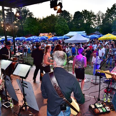 Bild vergrößern: Blick aus der Perspektive der Band "BUL's Brothers" auf das Publikum der Bühne im Stadtpark.