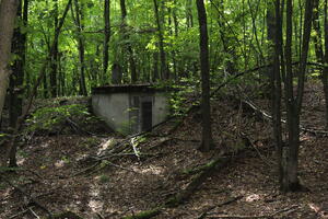 Bild vergrößern: Unter grünen Blätterdach liegt verborgen zwischen den Bäumen ein grauer Bunker aus dem Zweiten Weltkrieg.