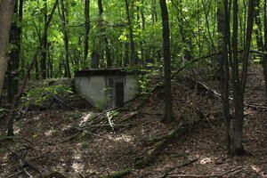 Bild vergrößern: Unter grnen Bltterdach liegt verborgen zwischen den Bumen ein grauer Bunker aus dem Zweiten Weltkrieg.