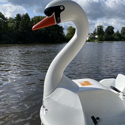 Bild vergrößern: Das neue Tretboot des Bootsverleihs wartet auf seine Gäste.