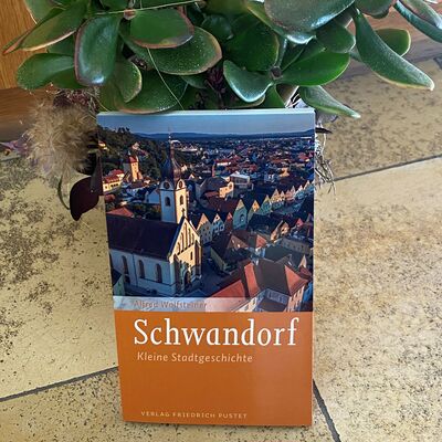Vom wittelsbachischen Pflegeamt zur "Eisenbahnerstadt", geschrieben von Alfred Wolfsteiner, ehem. Leiter der Stadtbibliothek Schwandorf; 16,95 €.