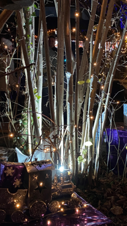 Bild vergrößern: Weihnachtsmarkt SAD