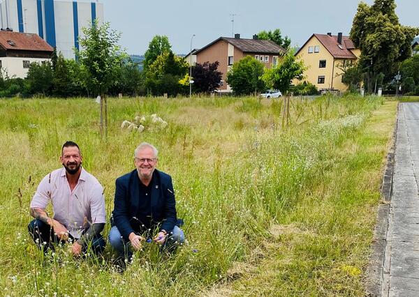 Mäharbeiten Städtischer Bauhof Straßenbegleitgrün