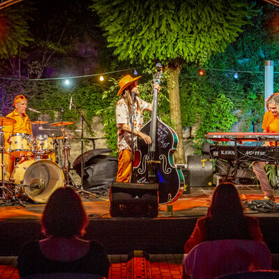 Die Band "Tanquoray" auf der Bühne des Schwandorfer Kultusommers im Spitalgarten. Zentral im Bild der Sänger der Band Dusty Hofbauer mit einem schwarzen Kontrabass.